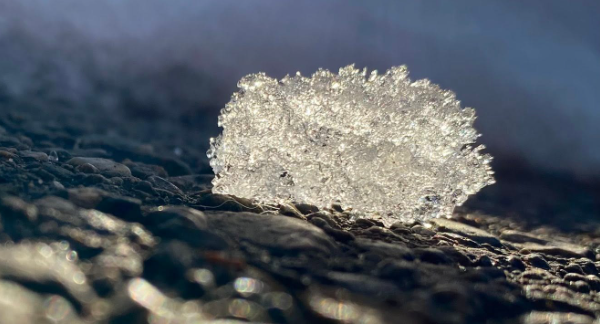Resetting Expectations in an Avalanche 